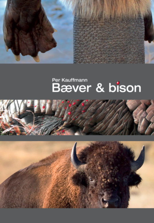 Bæver & Bison jagtbog