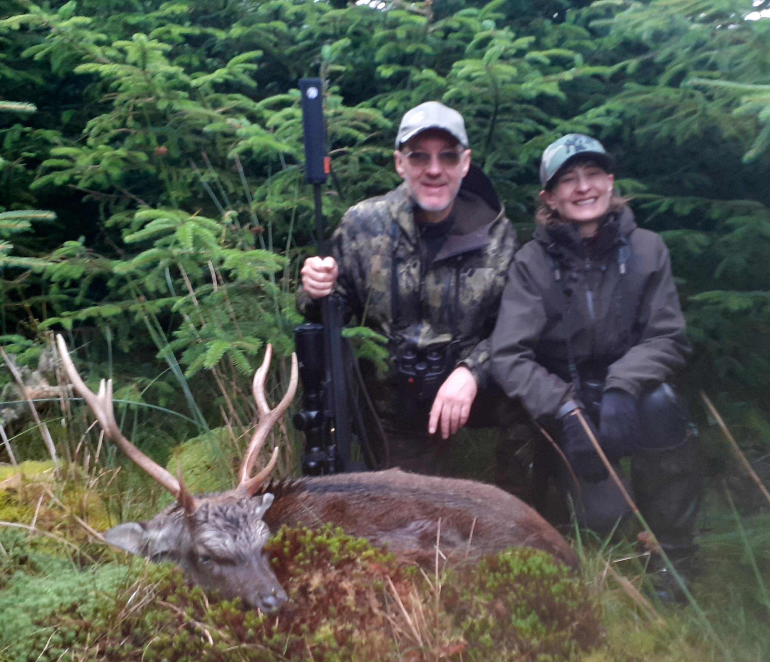 Sika jagt hos Irish Deer Hunting i Irland - Billede 2
