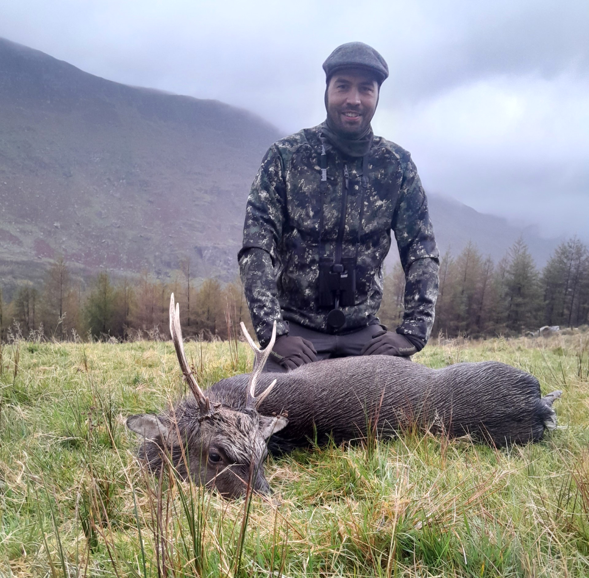 Sika jagt hos Irish Deer Hunting i Irland - Billede 3